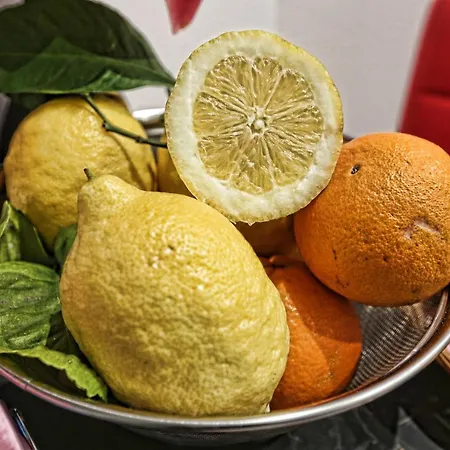 Maison Nilo 15 Bed & Breakfast 3*